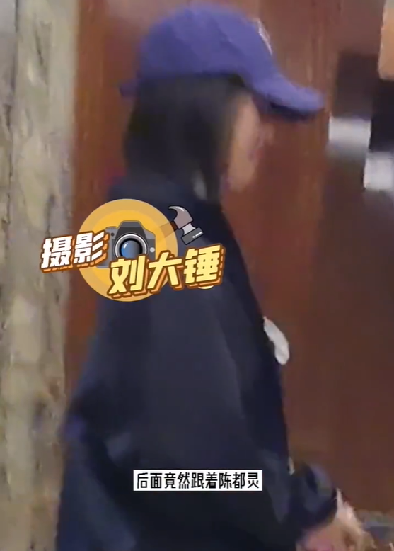 "娱圈学霸"陈都灵：素颜证件照打败章泽天，挤掉杨紫出演女主角
