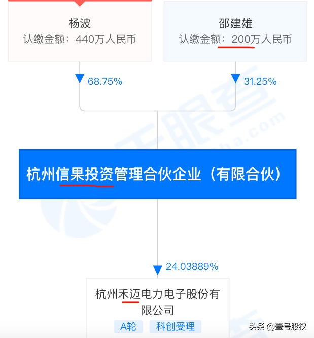 A股史上最贵新股，股权结构是如何设计的？