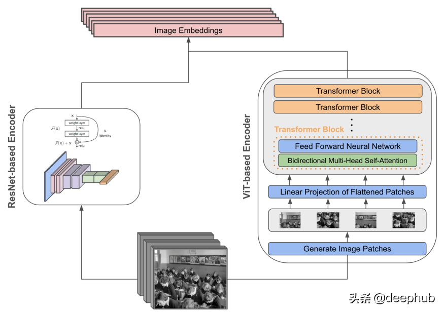 使用 CLIP 对没有标记的图像进行零样本无监督分类