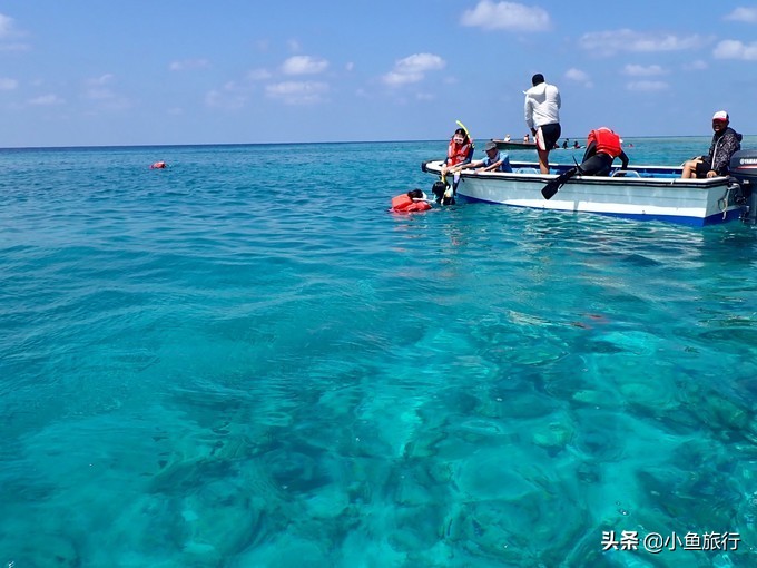 南海邮轮-南海之梦号邮轮西沙群岛旅游线路和价格