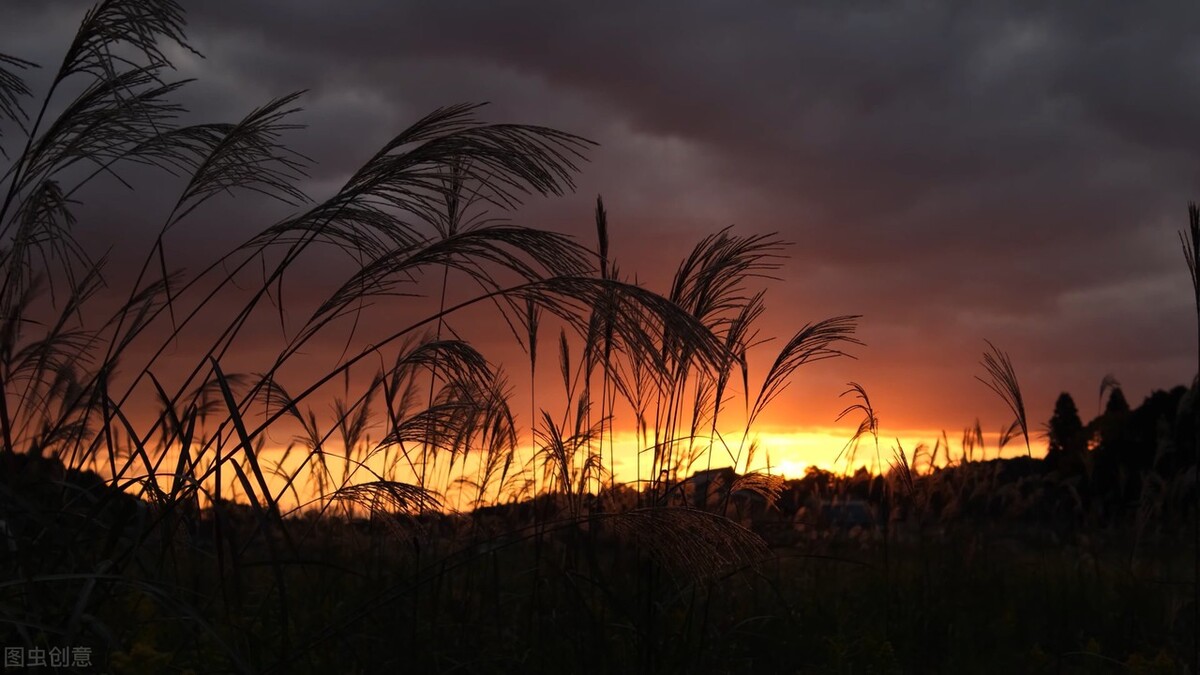 值得收藏下来的高级文案