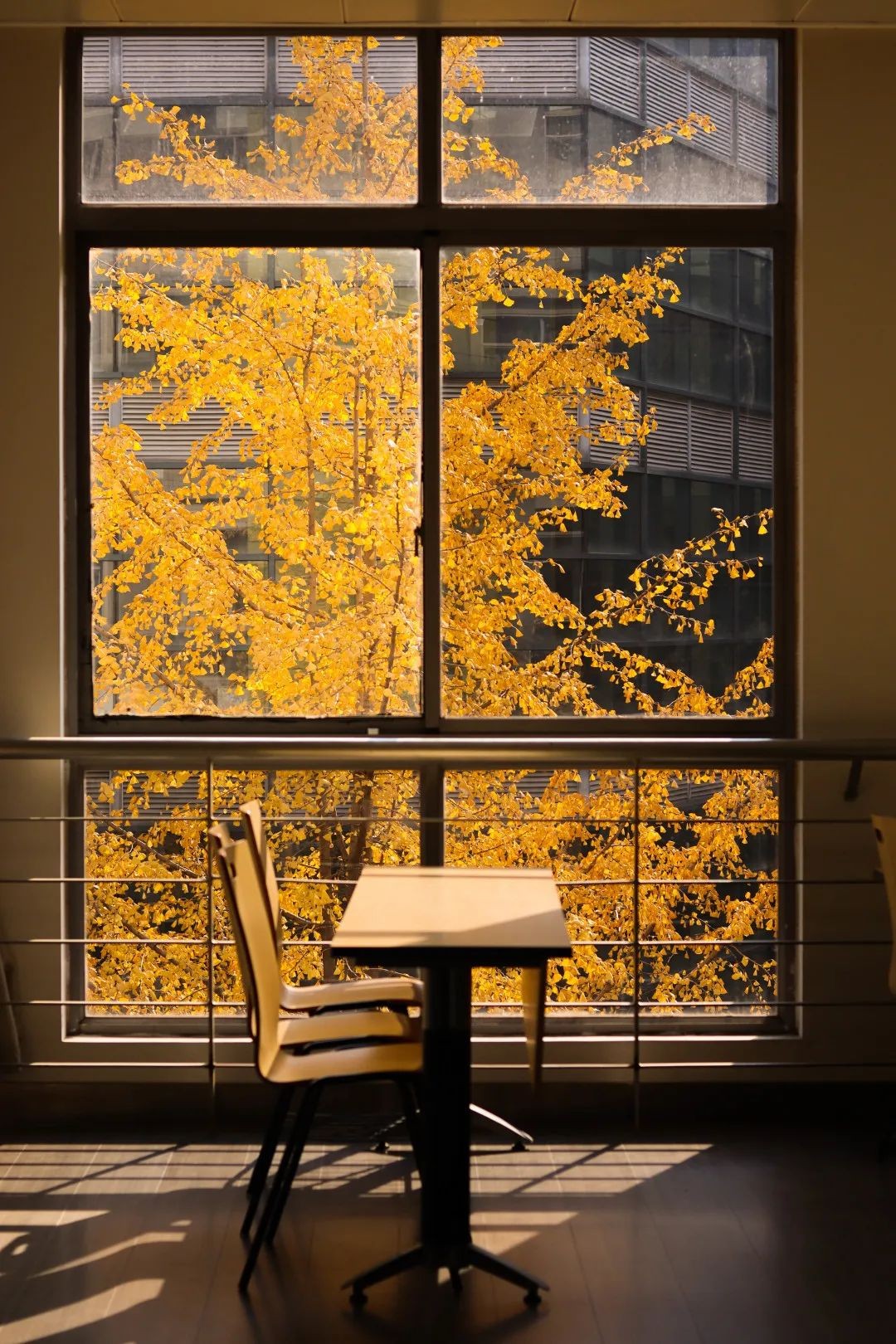 创“全球首个”，培养70位院士，走出开国元勋！四川大学又一“高超技艺”曝光！