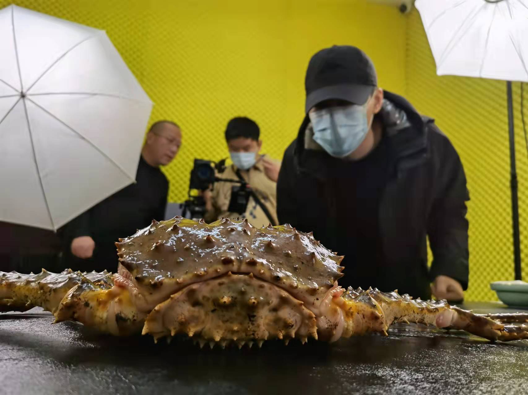 山东济南帝王蟹水饺宣传片视频拍摄花絮–上山传媒-上山传媒