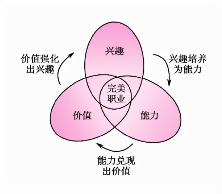 在职业方向上迷失，“职业三叶草”模型会告诉你答案