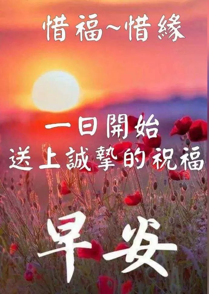 「感人的祝福语」早上好温暖人心的问候语句,动画表情包大全,坚持宅家