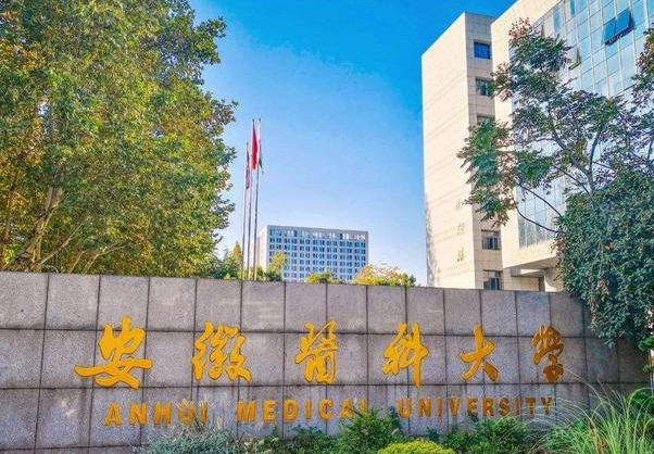 临床医学金字塔出炉，上海交大浙大稳坐塔尖，四川大学跌出前三