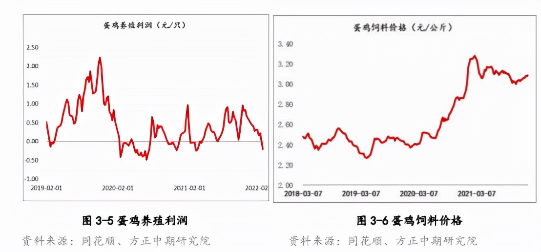 鸡蛋成本、供应双支撑，“倒霉蛋”有望大翻身？