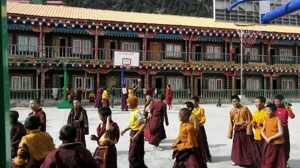 不一样的支教，不一样的人生，记录我在藏区学校支教的日子