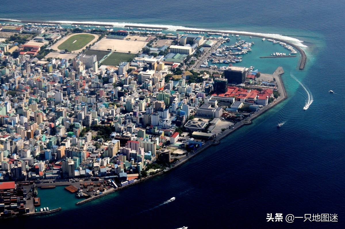 马尔代夫红珊瑚价格全球最