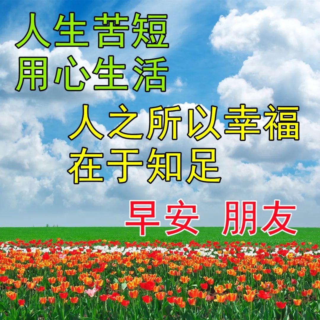 2022.04.22早安心语，唯美正能量问候语录，开启美好的一天