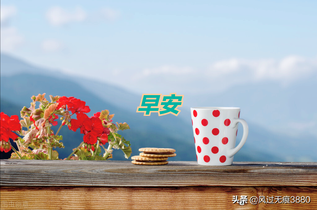 你像粘满小露珠的花朵,帮我产生了一室芬芳;你像掠过蓝天白云的哨鸽