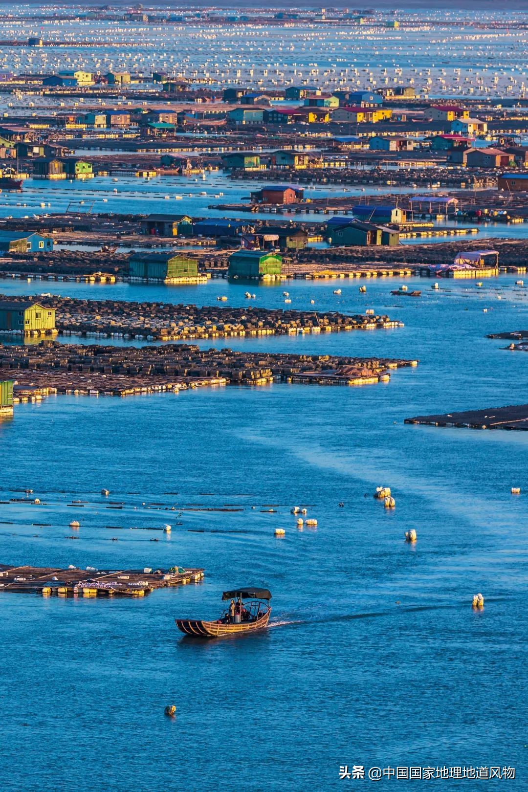 �й����ʴ�ʡ��ô�࣬����������óԣ�