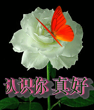 微信精选唯美早上好祝福图片，美好的清晨朋友们早上好图片