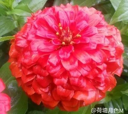 春天里，春风得意马蹄疾，一日看尽长安花