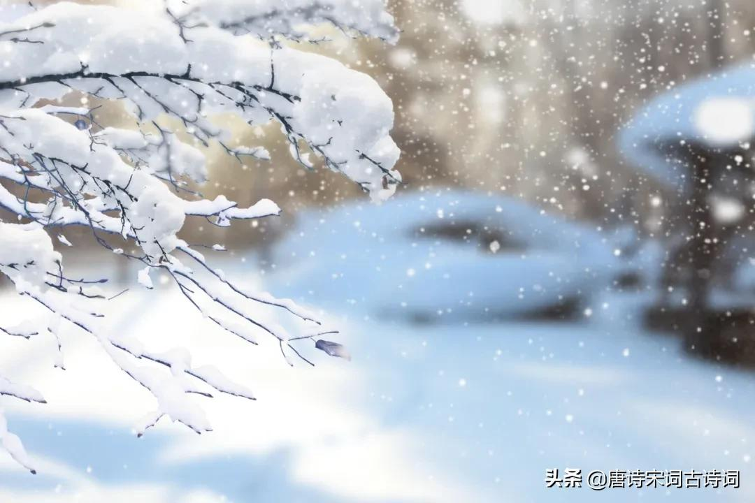 小雪花飘落图片大全图片