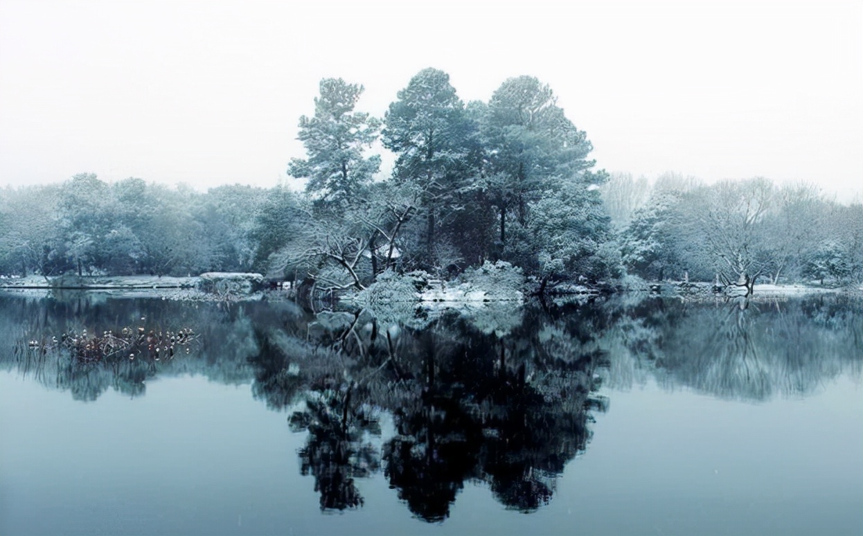 醉美西湖：春夏秋冬，雨雾晴雪，你都能看到西湖不一样的美