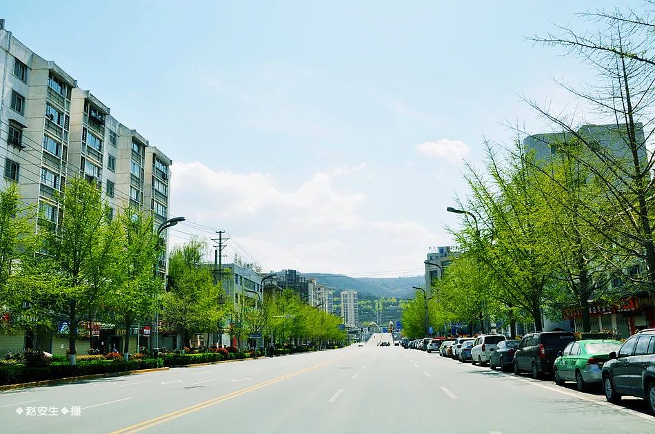 疫情笼罩下的秦州城（组图）