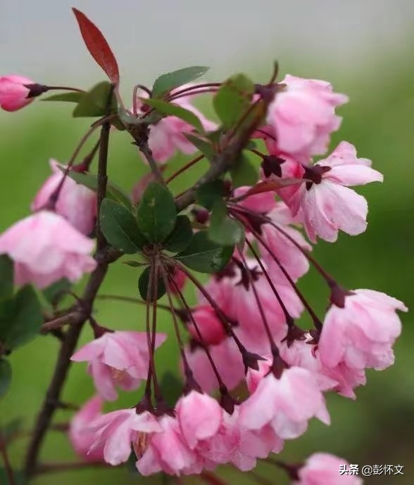 财税实务问题解答9则（2022年3月22日）