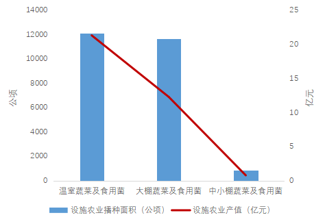 基于蔬菜工厂化视角的我国蔬菜浅析