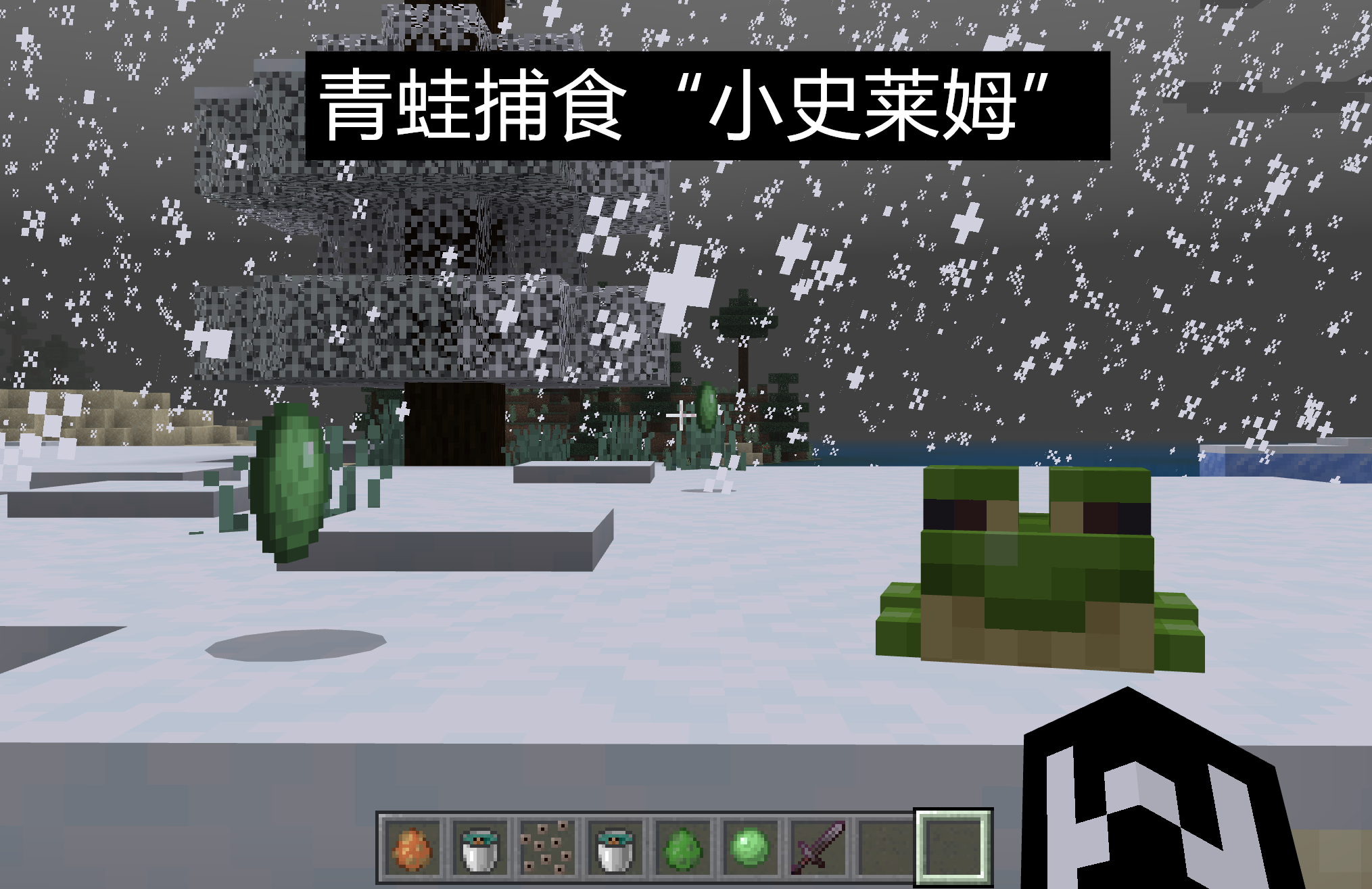 我的世界：基岩版抢跑更新！青蛙会吃小史莱姆，小蝌蚪用桶捕捉？