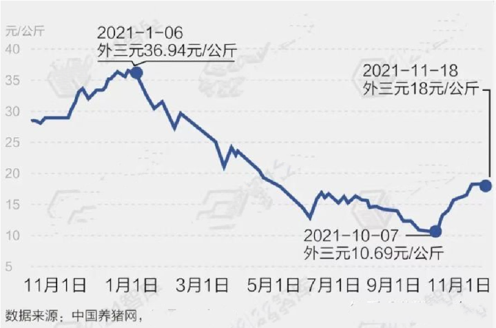 近期猪价反弹，批发价回升近40%，猪价来回波动原因有哪些呢？