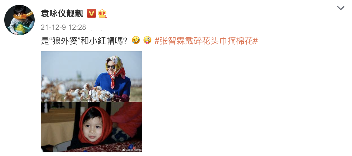 张智霖戴头巾摘棉花被阿姨误认为20多岁，袁咏仪调侃他是狼外婆