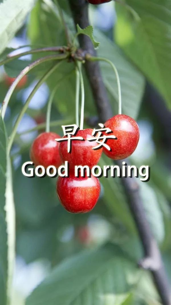今日更新早上好表情包，事事美好，平安顺心，永远有钱花图片