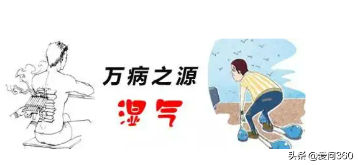 湿气重的几个表现，怎样通过脸部和舌苔能看出身体的异样？