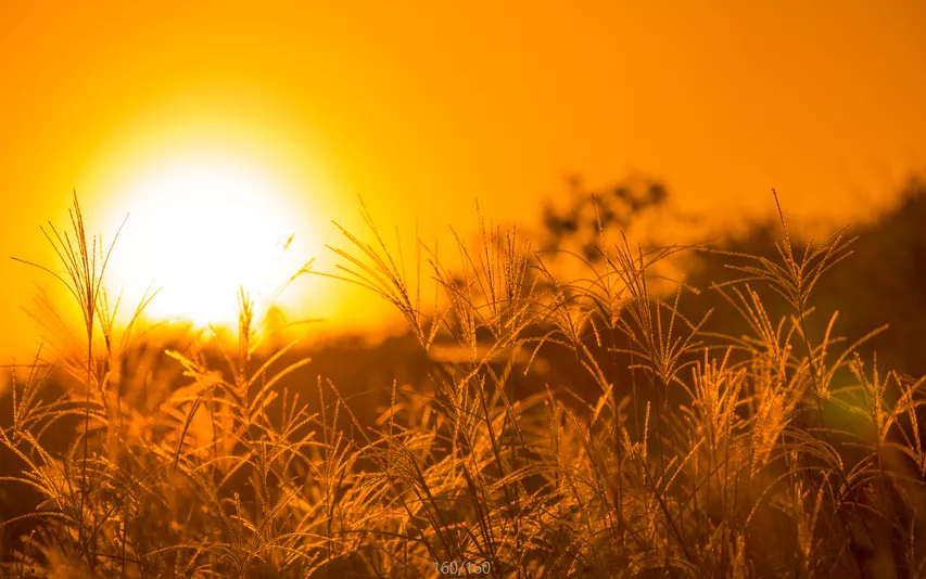 “爱无限心关爱”2021心理情景剧优秀剧本奖分享《阳光下的蜕变》