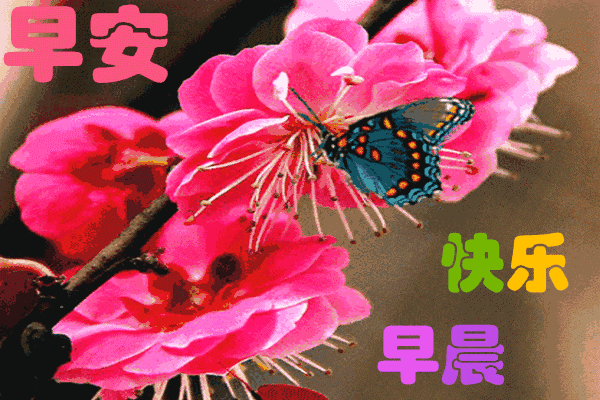 早上好问候语图片大全 以心交心才配真心 以情交情才配真情图片