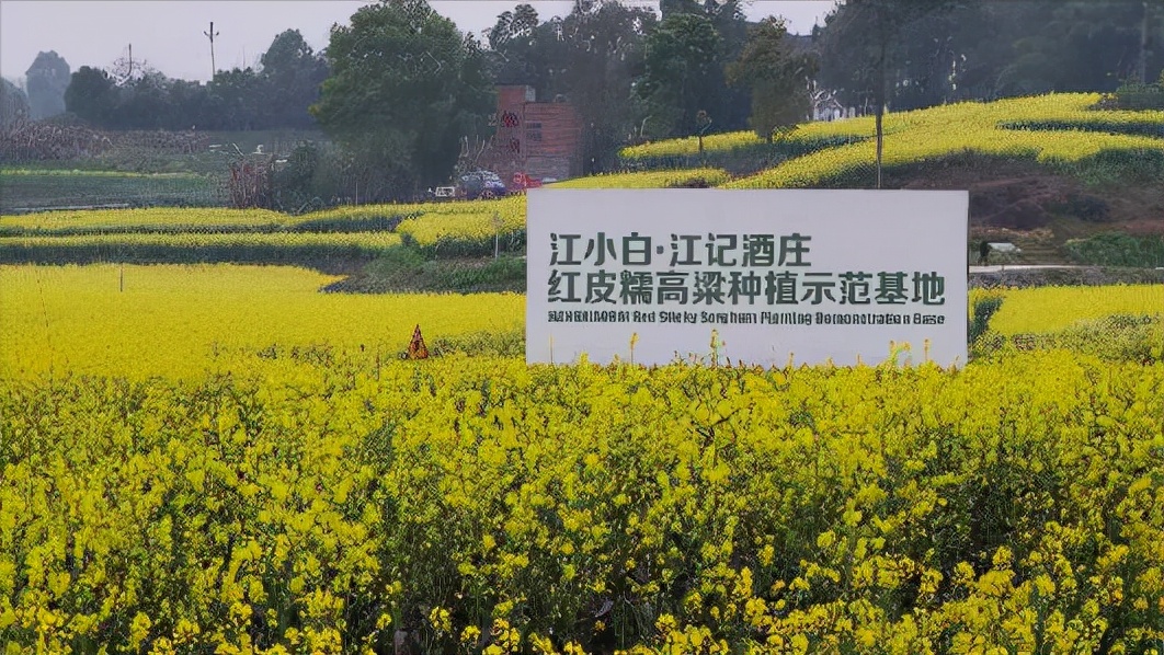 百元高端口粮酒的强烈推荐，这酒刷新了我对江小白的认知