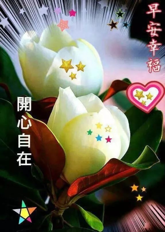 周末早上发好表情包问候语 早安幸福、开心自在图片