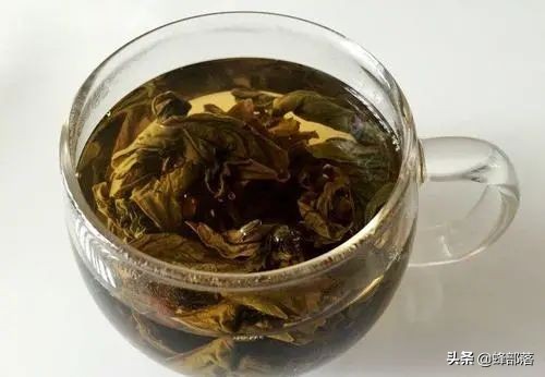 小柿子葉,