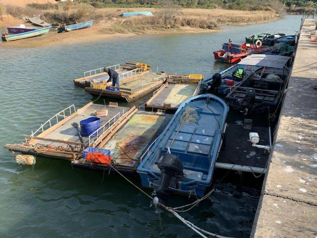 空中未来：5G网联无人机参与清理整治涉渔“三无”船舶专项行动