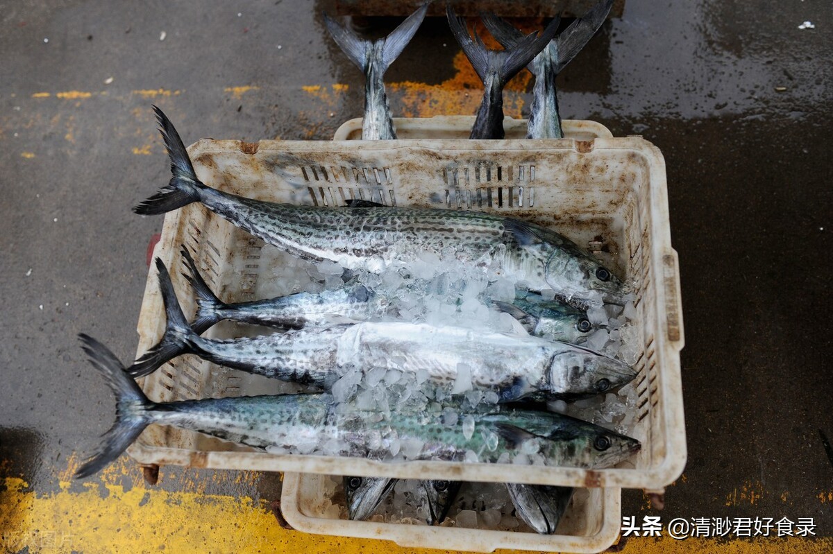 三九进补，多吃5种高蛋白质食物，御寒保暖有营养，冬季少生病