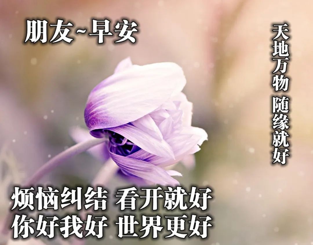 朋友圈里非常美丽的早安问候动态唯美图片 烦恼纠结看开就好图片