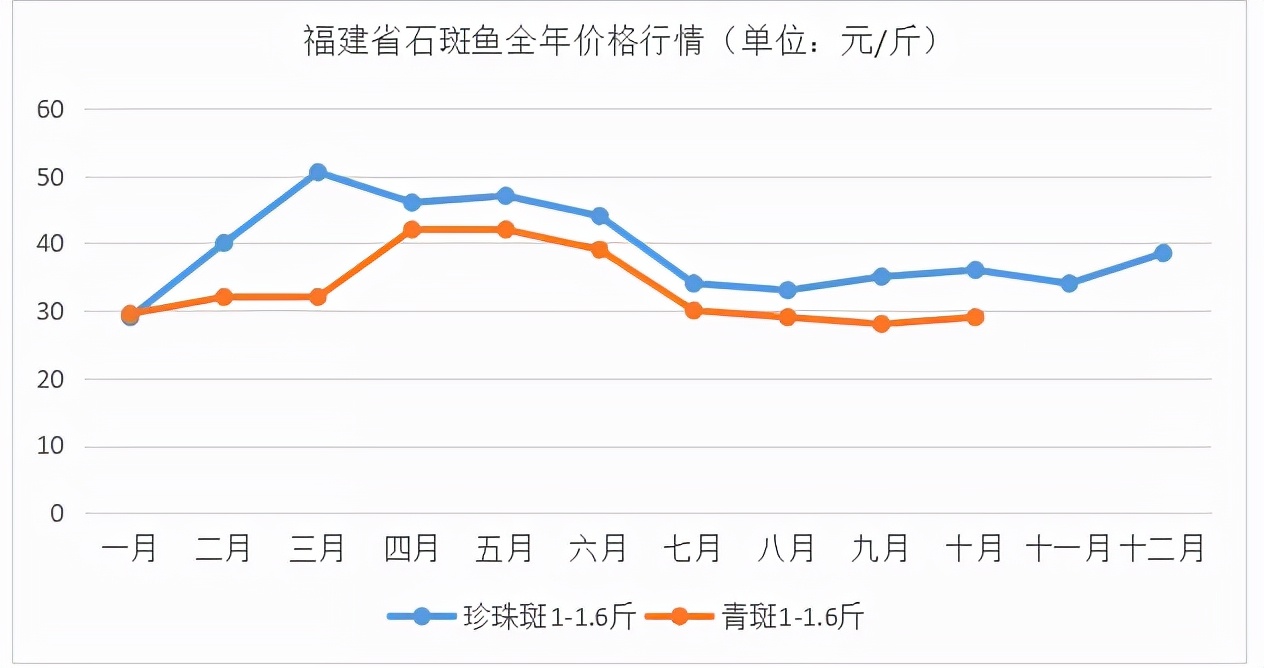 石斑魚多少錢一斤,石斑魚多少錢一斤市場價2022