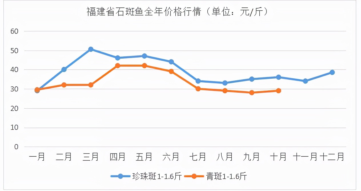 石斑鱼多少钱一斤,石斑鱼多少钱一斤市场价2022