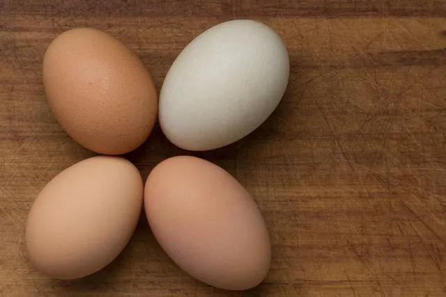 2022年鸡蛋多少钱一个（鸡蛋多少钱一个）