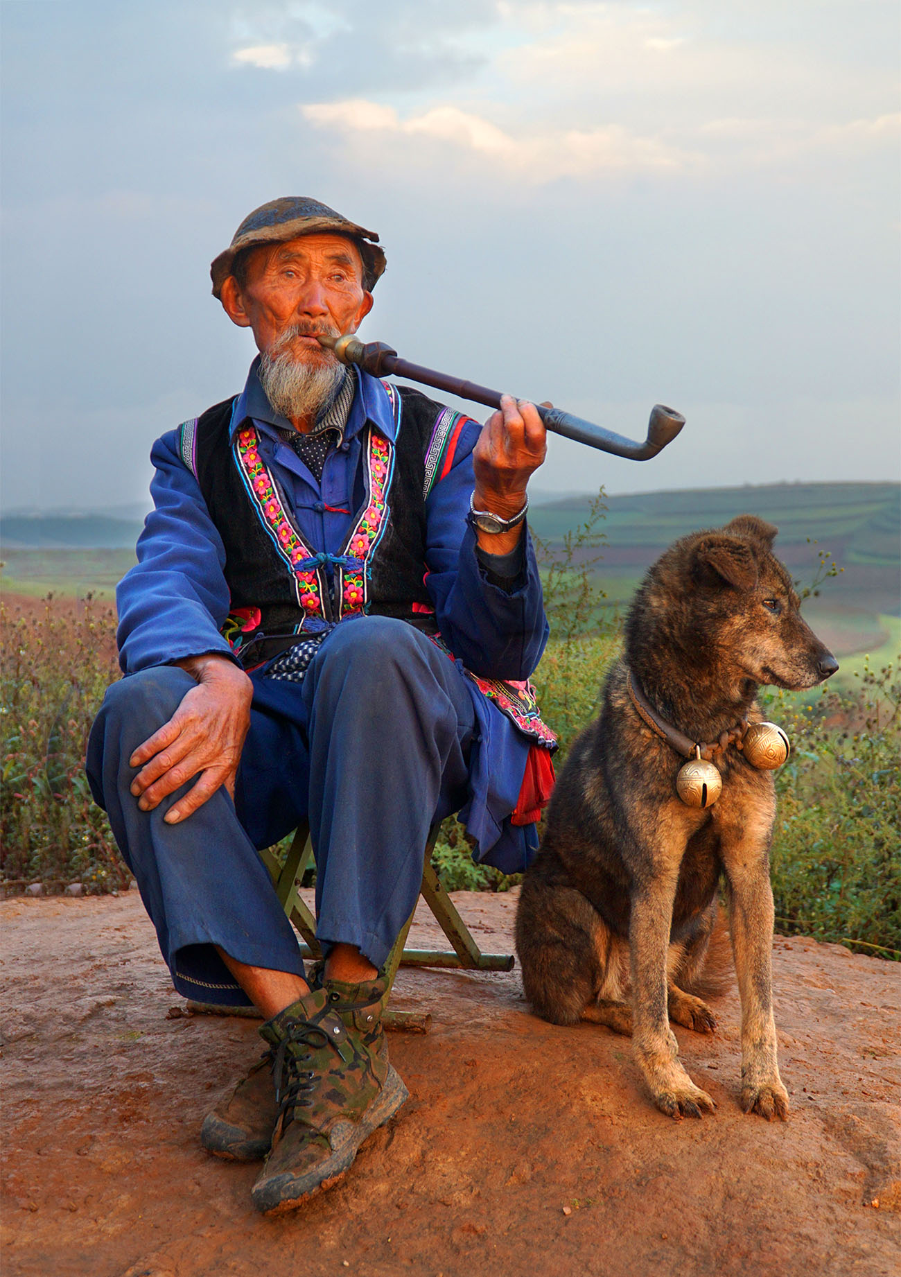 养鸡场遭黄鼠狼祸害，老人将死鸡扔进狼窝，引狼群下山消灭黄鼠狼