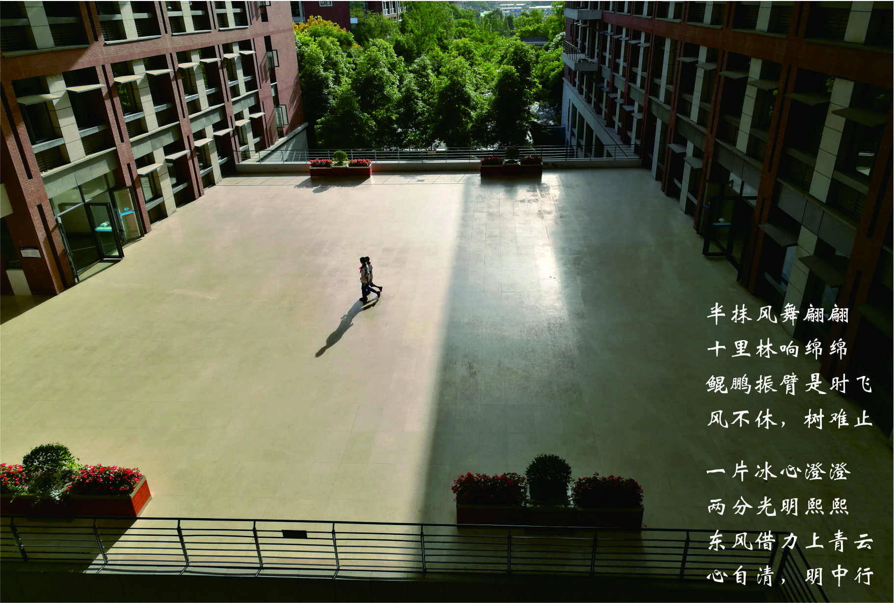 成都七中本部是哪个？又有哪些成员学校？