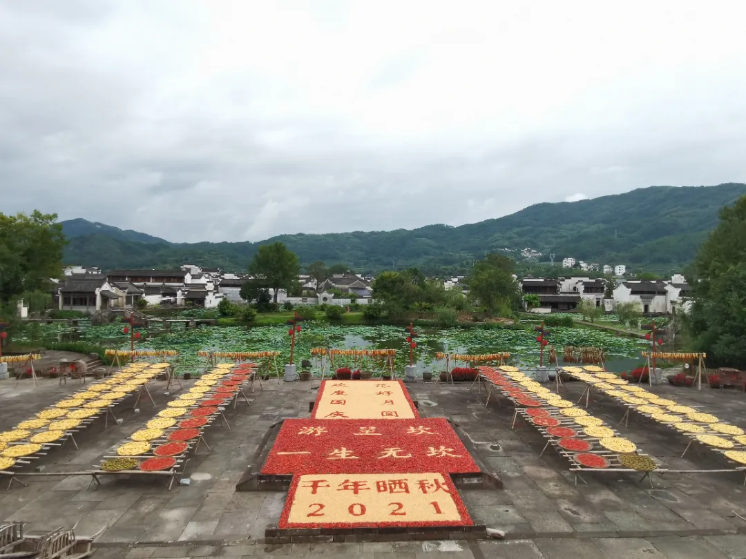 2022,一起领略黄山迤逦风光!