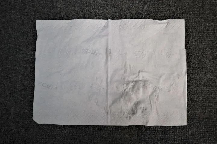 宠物尿垫哪家强？6大品牌的终极pk