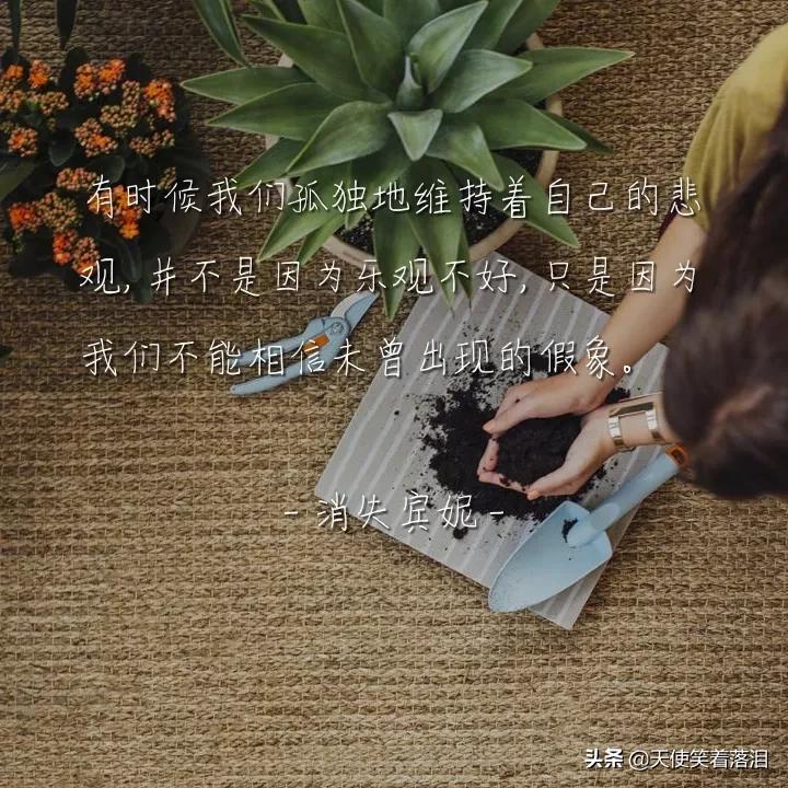 简短好句分享(消失宾妮经典语录)