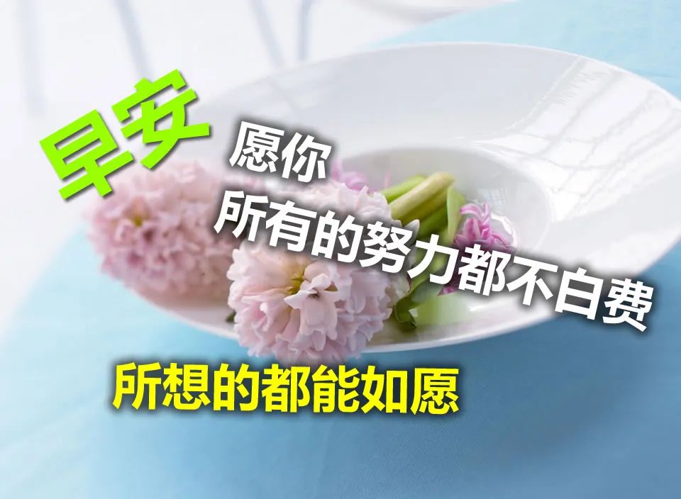 周六漂亮的鲜花动图早上好问候图片 愿你所想的都能如愿图片