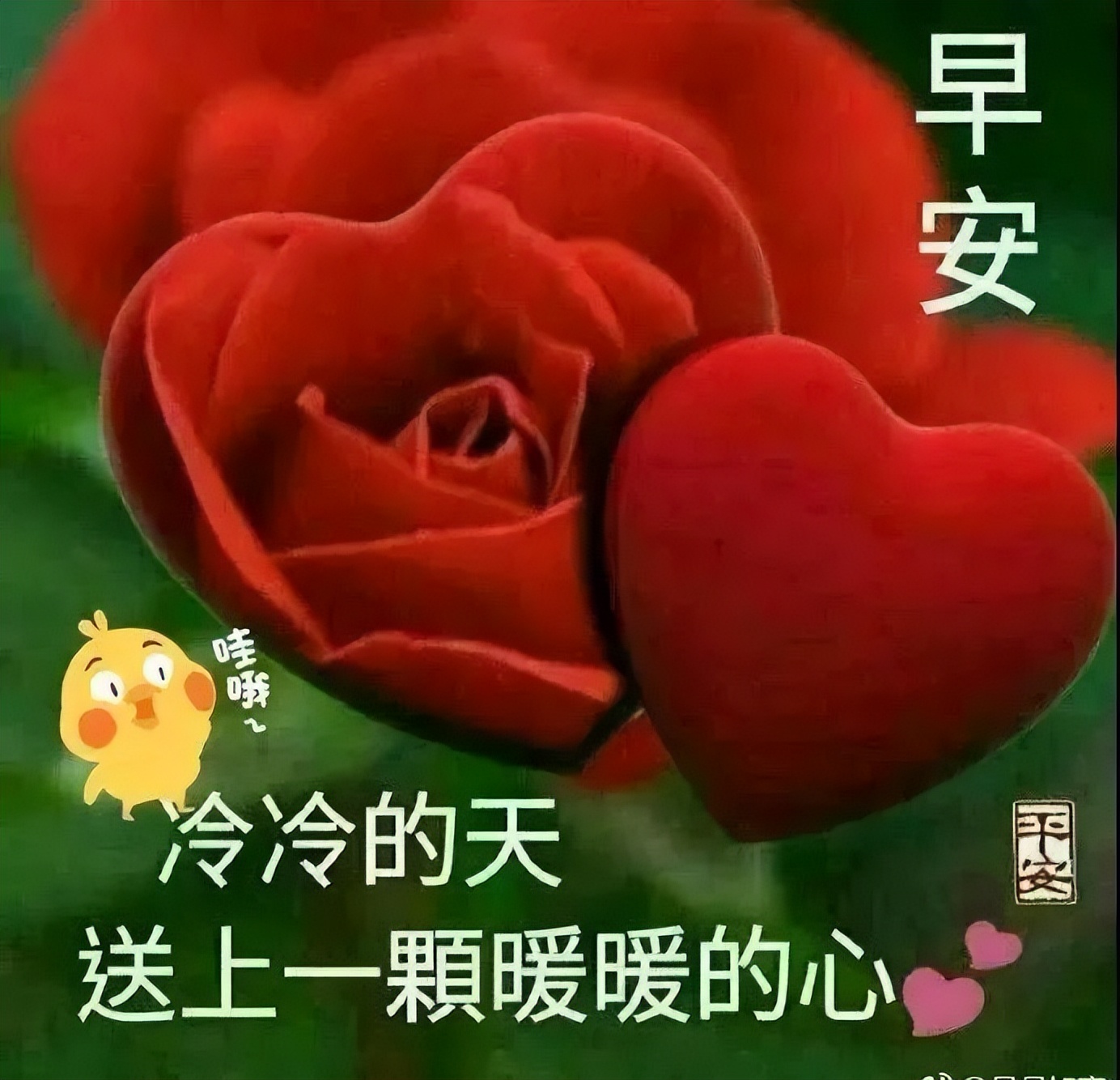 初夏早上好唯美祝福图片 早安图片带字带鲜花 幸福花祝你幸福美满图片