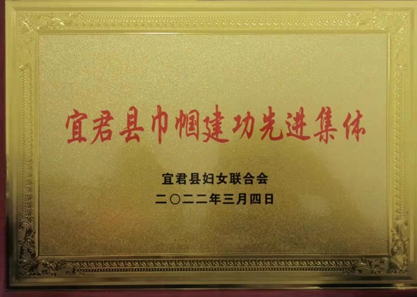宜君法院：情系三八节 巾帼绽芳华