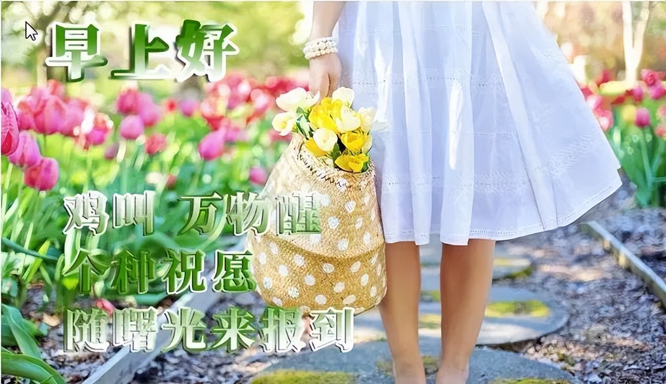 2022非常漂亮的早上好问候图片 创意好看的鲜花早上好祝福图片合集图片