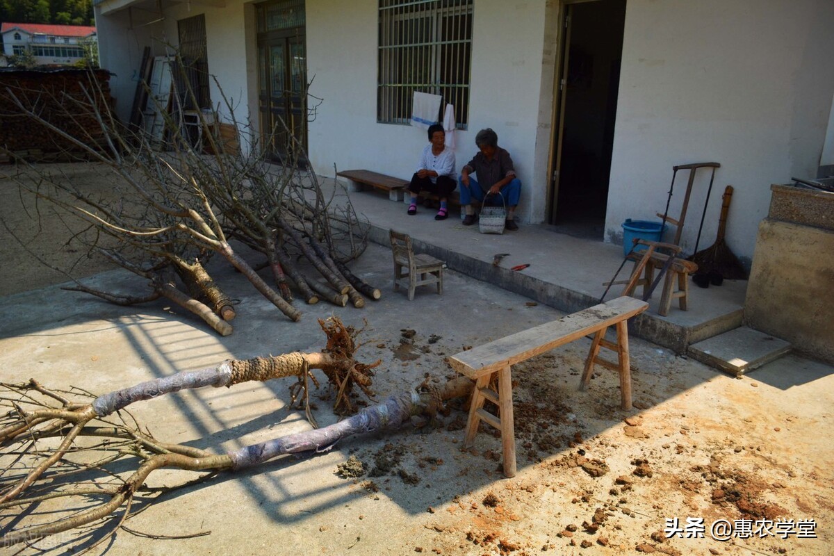 新农村建设征地补偿,新农村建设征地补偿标准