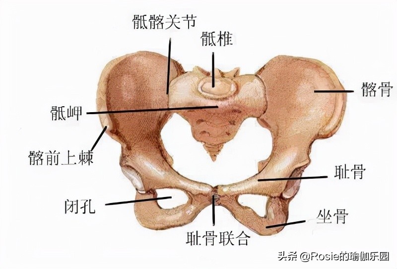 42岁殷桃蛮腰翘臀似少女，如何拯救臀平凹陷？每天8min解锁蜜桃臀